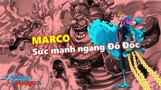 Phượng Hoàng MARCO: Sức mạnh ngang Đô Đốc Hải quân? Vai trò của Marco?