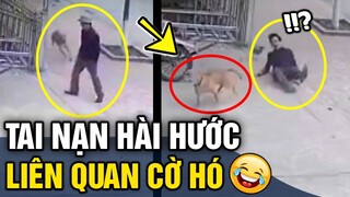 Những sự cố 'HÀI HƯỚC' với mấy con 'CỜ HÓ' khiến khổ chủ phải 'KHÓC THÉT' | Tin 3 Phút Hài