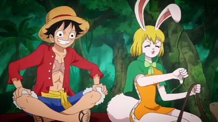 moment kocak Roronoa Zoro ,Luffy cuman tertawa aja 🤣