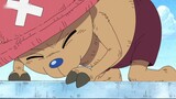 [One Piece] Chopper wouldn't dare to order Nami around even in his dreams