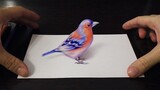 [Cuộc sống] Vẽ chim 3D bằng bút chì màu