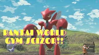 BANTAI WORLD GYM SCIZOR !!! - POKEMON WORLD