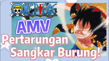 [One Piece] AMV | Pertarungan Sangkar Burung!