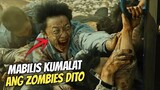 Dahil Sa Kagat Ng Pusa Naging Zombies Sila At Mabilis Kumalat Sa Lungsod...| Movie Recap Tagalog
