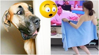 Funny Dog And Cat 😍🐶😻 Funniest Animals #121