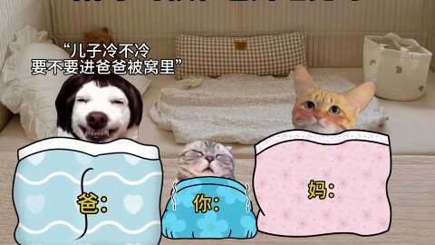当你的爸妈很抽象时#猫meme小剧场 #猫meme