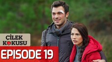 🇹🇷Cilek Kokusu Episode 19 with english subtitles🍓| Strawberry smell