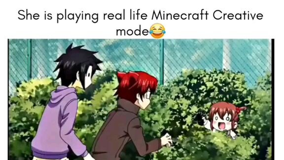 Minecraft in real life be like