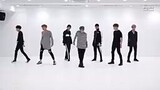 bts blood sweat and tears dance practise