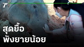 สุดยื้อ "พังยายน้อย"ก่อนตาย ฟังเพลงสาวเชียงใหม่ | 24-12-64 | ห้องข่าวหัวเขียว