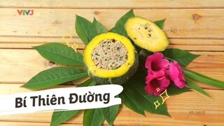 Bí Thiên Đường Ngon Ngọt | Nét Ẩm Thực Việt | VE Channel