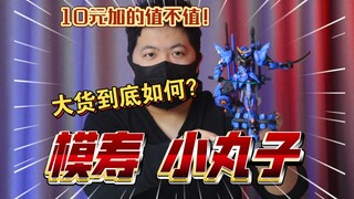 「白测561」不直桩了？模寿 卓越级 梵天丸 小丸子