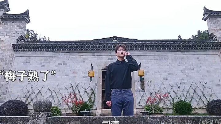 原来梅子熟了的含义是喜欢啊