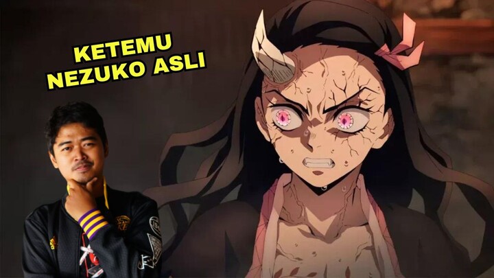 WADUH ADA NEZUKO ASLI