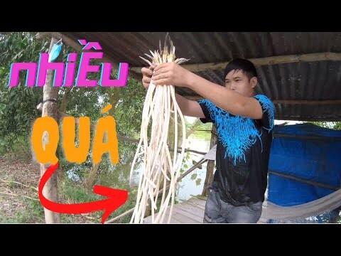 Vừa Bị troll Xong Thì Rủ Lội Nước thần này lắm chiêu AE ạ