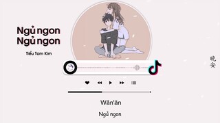 [Vietsub] Ngủ Ngon Ngủ Ngon - Tiểu Tam Kim |  晚安晚安 - 小三金