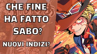 SABO, COSA E' SUCCESSO | ONE PIECE TEORIA