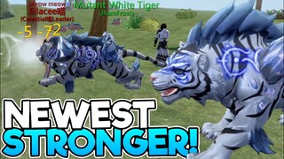 New White Tiger Pet Merging | Advance Lashes | Worth it? Utopia:Origin