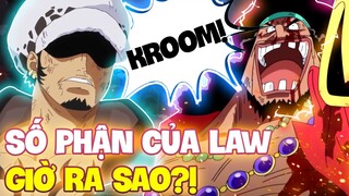 LIỆU RÂU ĐEN ĐÃ CÓ TRÁI OPE?! | SỐ PHẬN CỦA LAW BÂY GIỜ RA SAO?!