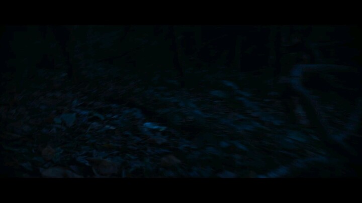 film horor .