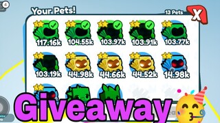 Rainbow Dominus Pets Giveaway (Pet simulator X)