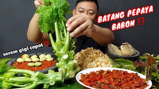 MAKAN LALAPAN DAUN PEPAYA MENTAH  JENGKOL MENTAH SAMBEL KACANG ENAK BANGET + IKAN ASIN+SAMBEL TERASI