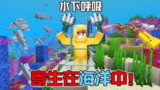 MC汲取海洋能量？全程不砍树只依靠水里的物资生存！#我的世界Minecraft