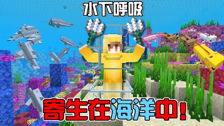 MC汲取海洋能量？全程不砍树只依靠水里的物资生存！#我的世界Minecraft