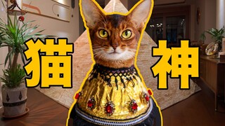 古 埃 及 猫 神 竟 然 在 我 家 ？