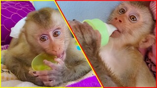 Wow, So adorable little Yaya happily playing around Mom & enjoy drinking milk