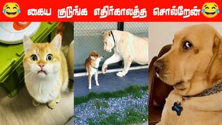 😂🐕எங்கப்பனுக்கு நான் ஒரே புள்ள🐈‍⬛😂#viral #trending #comedy #funnyanimalvideos