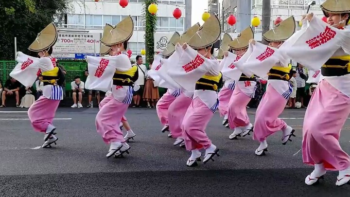 Nhảy Awa ở Tokushima, Nhật Bản, xem trực tiếp cuộc diễu hành của người Nhật