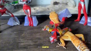 Gecko dan ultraman