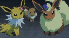 [Hindi] Pokemon S25E08