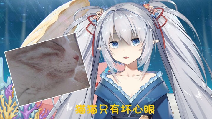 继提督之后，连我的猫也要跳我脸这回事