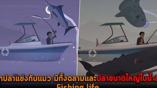 ตกปลาแข่งกับแมว มีทั้งฉลามและปลาขนาดใหญ่ในน้ำลึก Fishing life