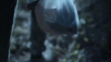 Dư chấn: Everest và vụ động đất tại Nepal EP 3 [Sub Việt]