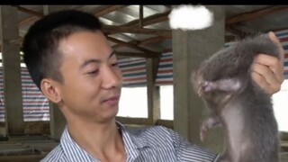 [Ya Saus/Daging Dimasak/Hanya B] "Betapa lucunya Tikus Tikus, bagaimana kamu bisa makan Tikus Tikus!