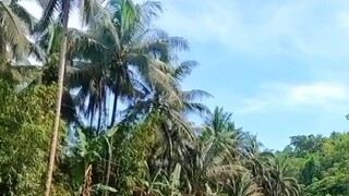 人生是海，金錢是船夫。如無船夫，度世維艱。