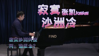 寂寞沙洲冷-钢琴版