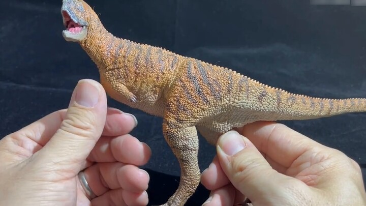 Ulasan model Microraptor: PNSO Carnotaurus
