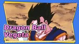 [Dragon Ball] Vegeta---Pria Terkuat