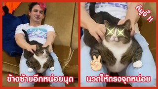 ทางซ้ายอีกหน่อยสินุด นวดให้มันตรงจุดหน่อยย !! ( รวมฮาพากย์ไทย )