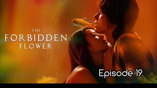 (Sub Indo) The Forbidden Flower Episode 19 (2023)