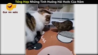 Tổng Hợp Những Tình Huống Hài Hước Của Năm _ phần 5