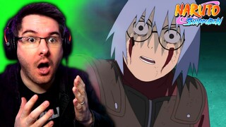 THE TRUTH ABOUT KABUTO! | Naruto Shippuden Episode 336 REACTION | Anime Reaction