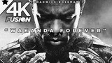 Black Panther: Wakanda Forever / Tưởng nhớ Chadwick Bosman
