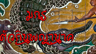 เจาะลึกตำนาน เหรา มกร ตัวกินพญานาค Caracat