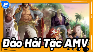 [Đảo Hải Tặc AMV] Sát cánh cùng bạn đồng hành, cho dù phải đối diện cái chết_2