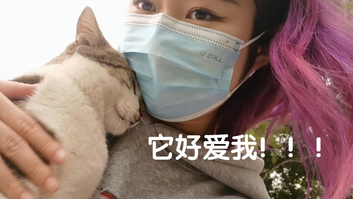 校猫，今天你就是我的神！！！